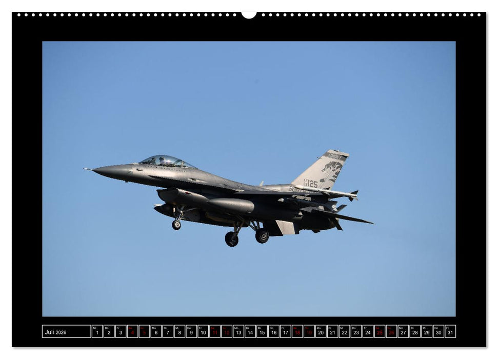 AIR DEFENDER 2023 - über den Zaun geschaut (CALVENDO Premium Wandkalender 2026)