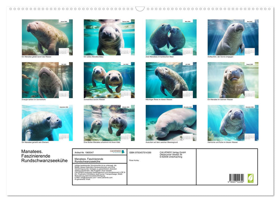 Manatees. Faszinierende Rundschwanzseekühe (CALVENDO Wandkalender 2026)