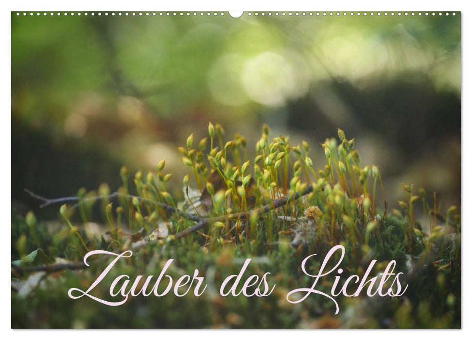 Zauber des Lichts (CALVENDO Wandkalender 2026)