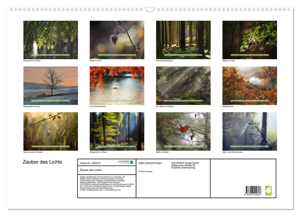 Zauber des Lichts (CALVENDO Wandkalender 2026)