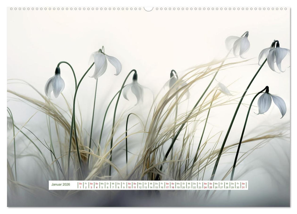 Verzaubernde Blüten (CALVENDO Wandkalender 2026)