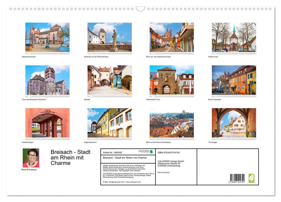 Breisach - Stadt am Rhein mit Charme (CALVENDO Wandkalender 2026)
