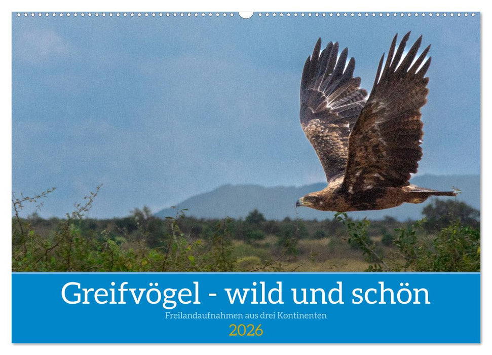 Greifvögel - wild und schön (CALVENDO Wandkalender 2026)