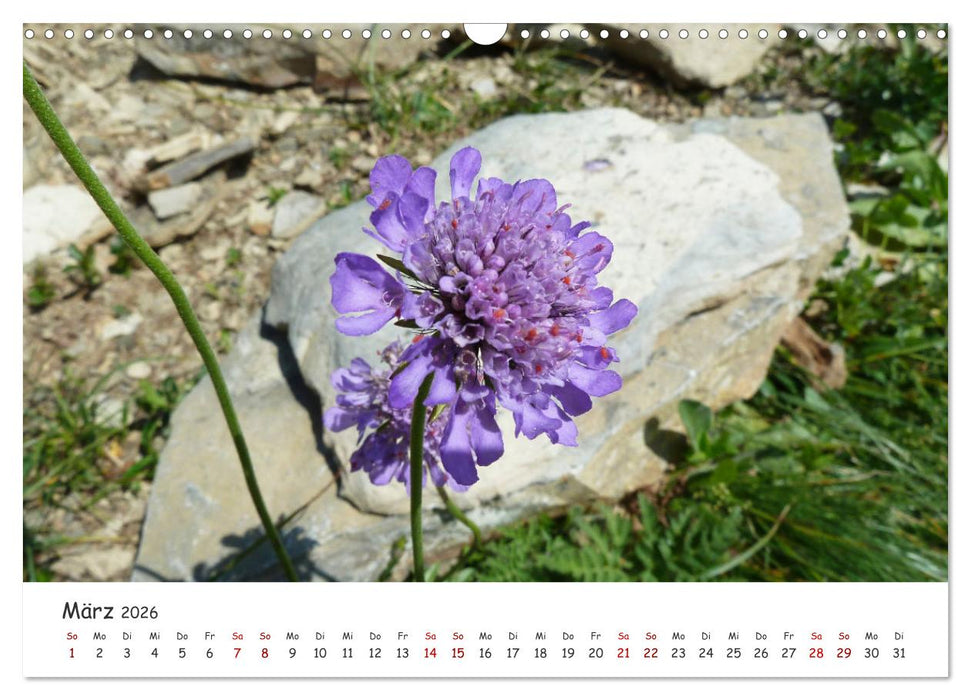 Kleinwalsertal - Das kleine Glück vor unserer Tür (CALVENDO Wandkalender 2026)