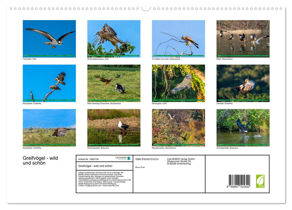 Greifvögel - wild und schön (CALVENDO Premium Wandkalender 2026)