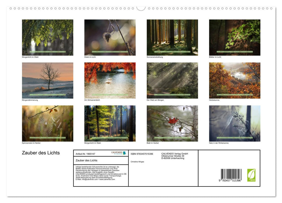 Zauber des Lichts (CALVENDO Premium Wandkalender 2026)