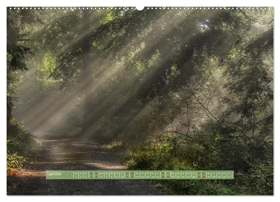 Zauber des Lichts (CALVENDO Premium Wandkalender 2026)