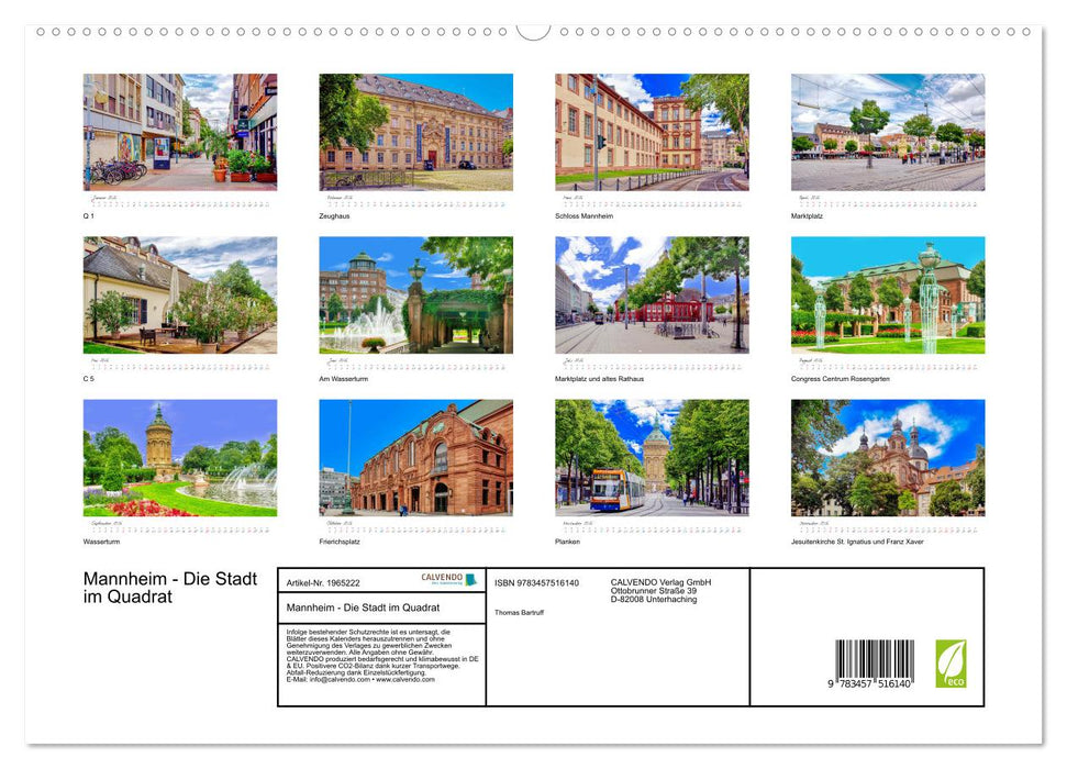 Mannheim - Die Stadt im Quadrat (CALVENDO Premium Wandkalender 2026)