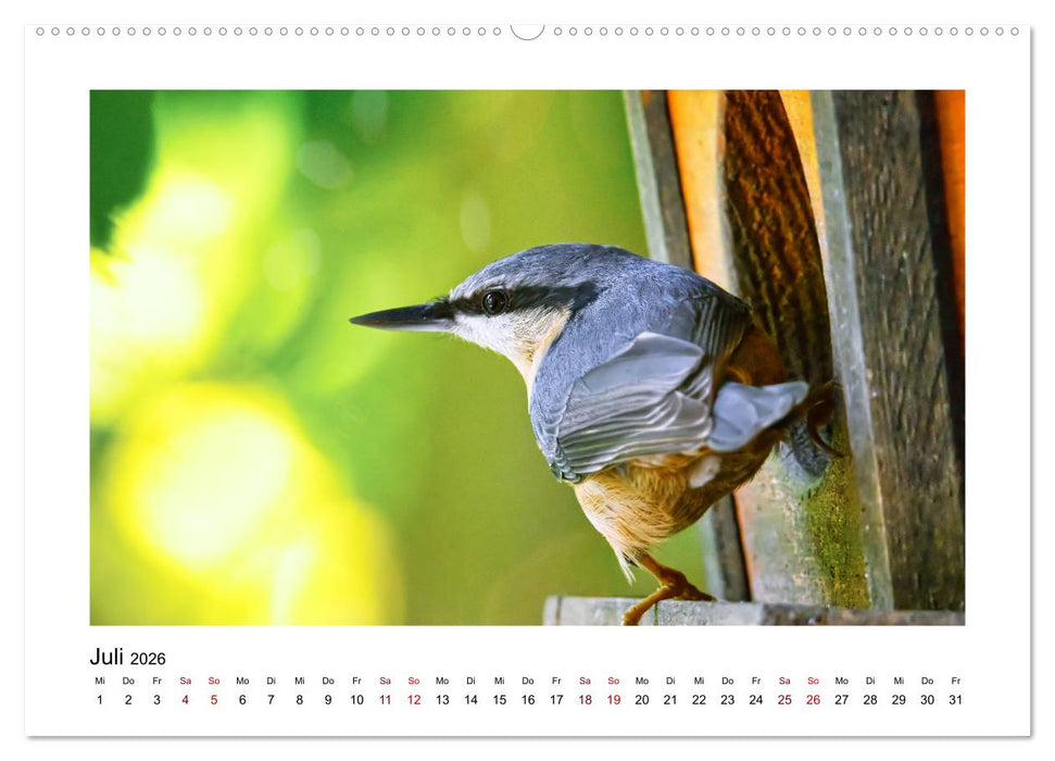Flinke Kleiber (CALVENDO Premium Wandkalender 2026)