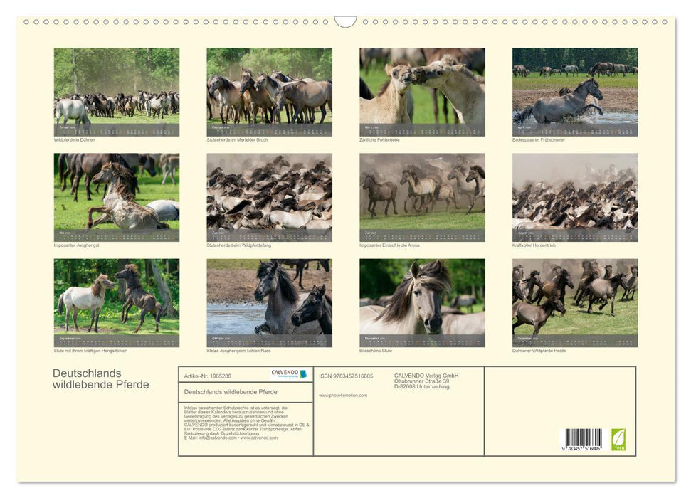 Deutschlands wildlebende Pferde (CALVENDO Wandkalender 2026)