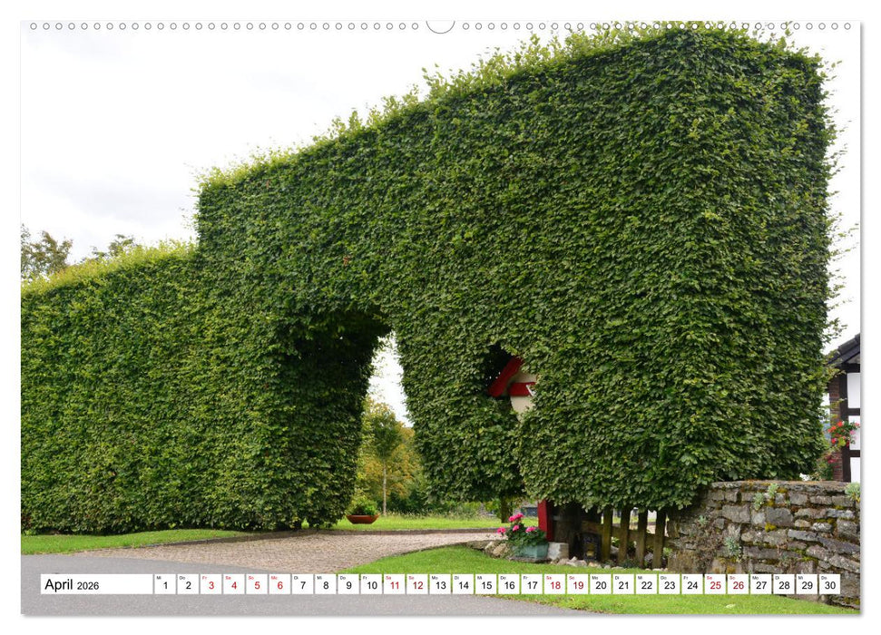 Faszinierende Hecken - Grüne Schönheiten im Monschauer Land (CALVENDO Premium Wandkalender 2026)