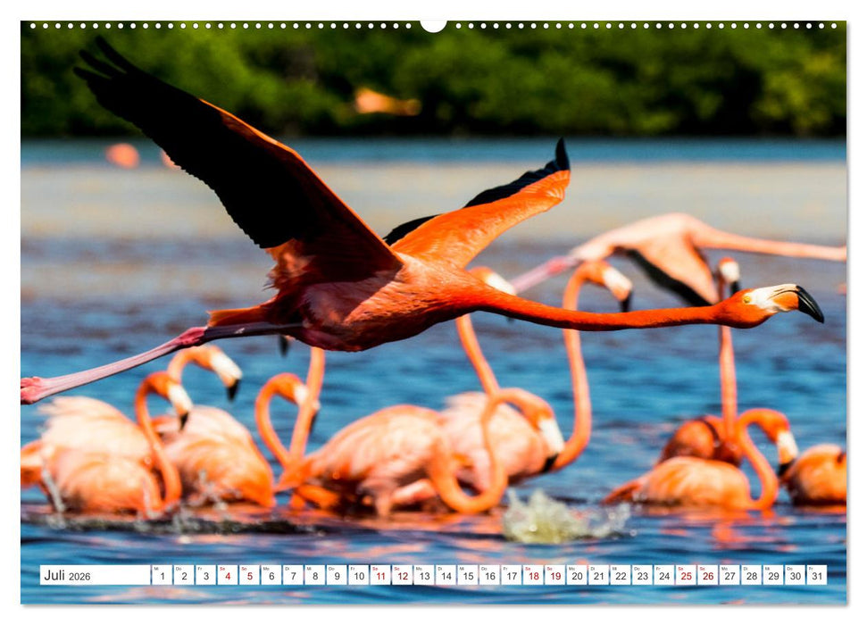 Unterwegs auf Yucatan Mexiko (CALVENDO Premium Wandkalender 2026)