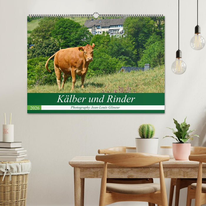 Kälber und Rinder (CALVENDO Wandkalender 2026)