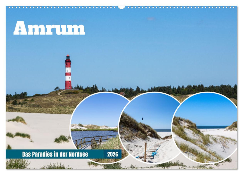 Amrum - Das Paradies in der Nordsee (CALVENDO Wandkalender 2026)