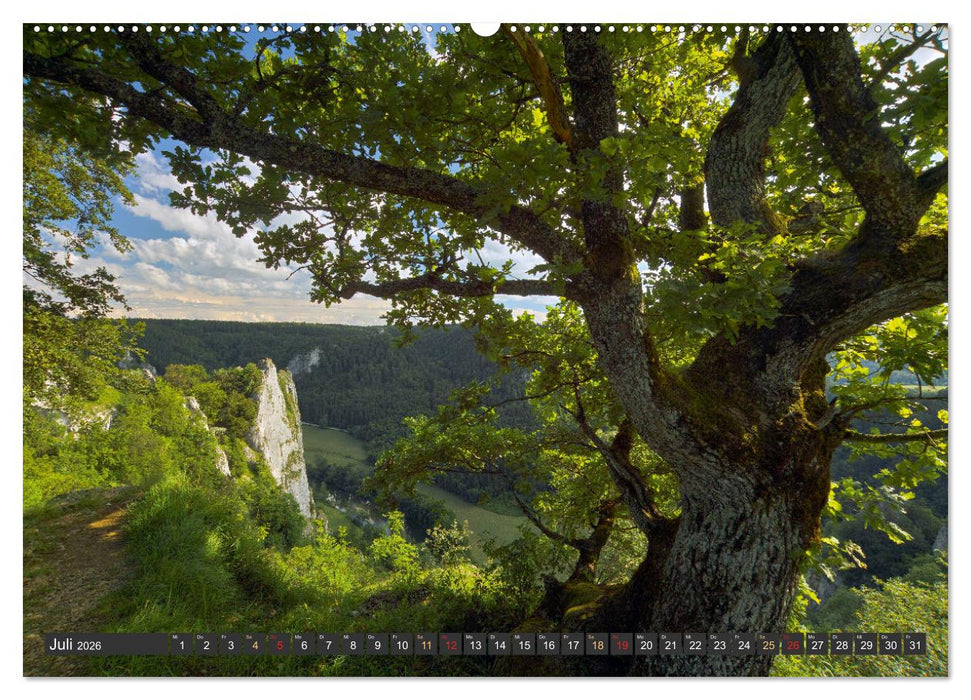 Große Landschaft Obere Donau (CALVENDO Premium Wandkalender 2026)