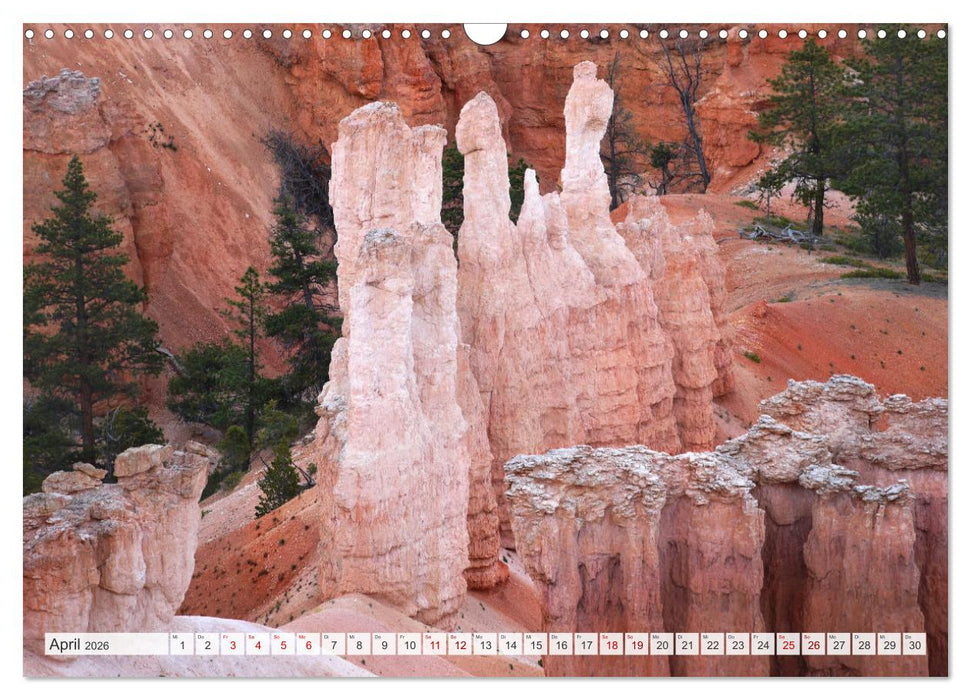Bryce Canyon, Wunder der Natur (CALVENDO Wandkalender 2026)