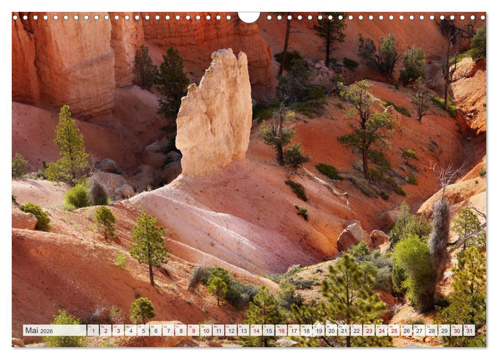 Bryce Canyon, Wunder der Natur (CALVENDO Wandkalender 2026)