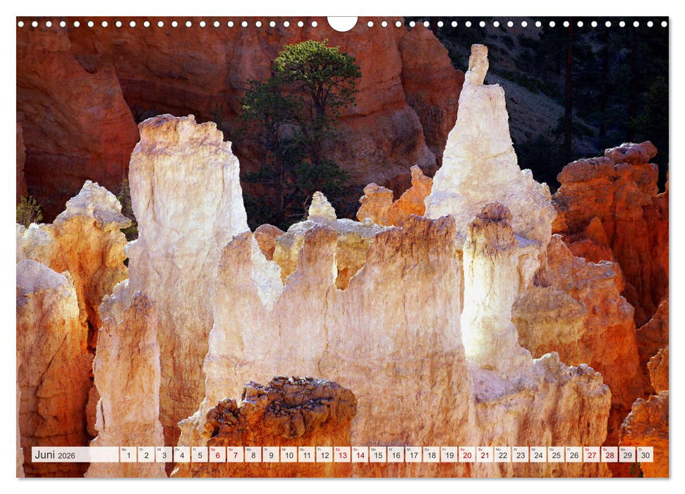 Bryce Canyon, Wunder der Natur (CALVENDO Wandkalender 2026)
