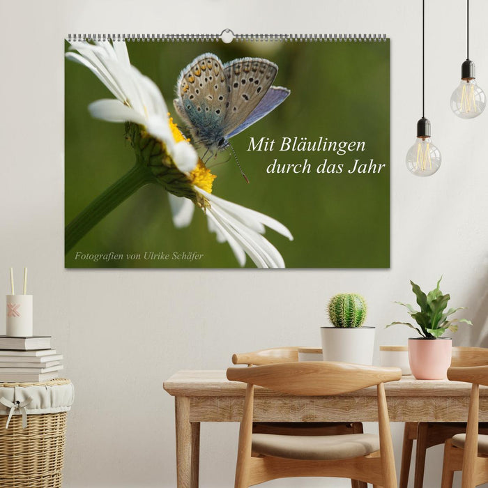 Mit Bläulingen durch das Jahr (CALVENDO Wandkalender 2026)