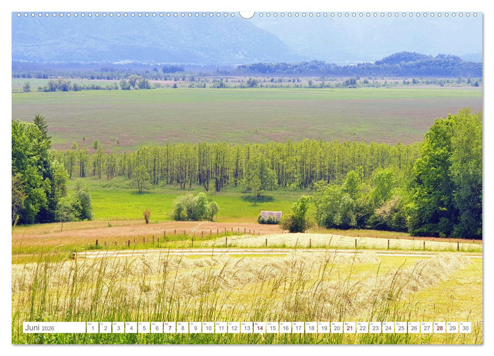 Naturschutzgebiet Murnauer Moos - Auf dem Rundweg durch das größte Moor Mitteleuropas (CALVENDO Wandkalender 2026)