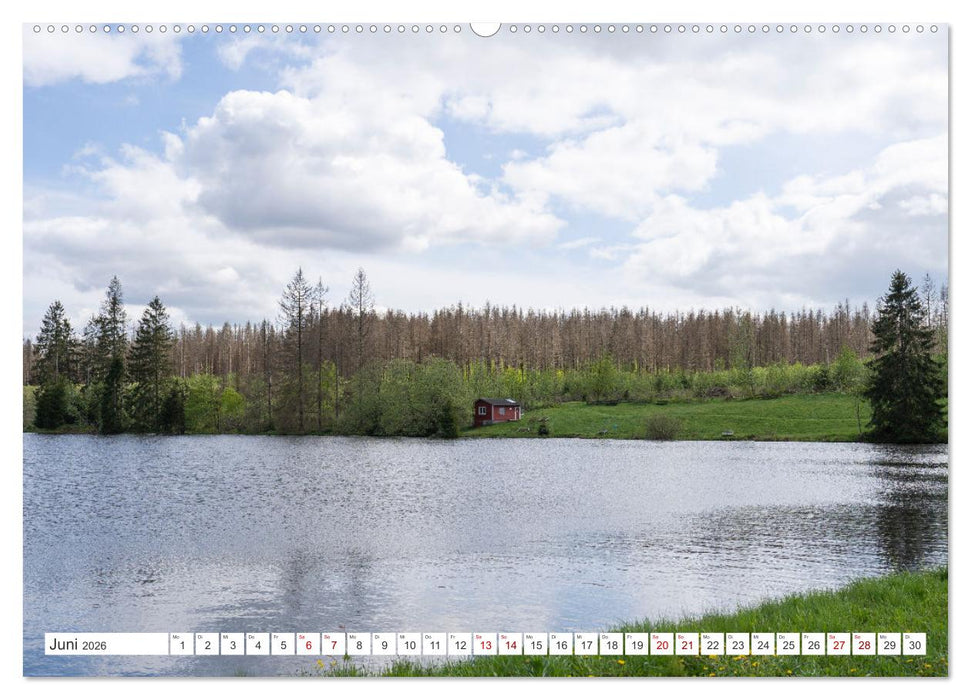 Harzträume - Eine Reise durch die Natur (CALVENDO Wandkalender 2026)