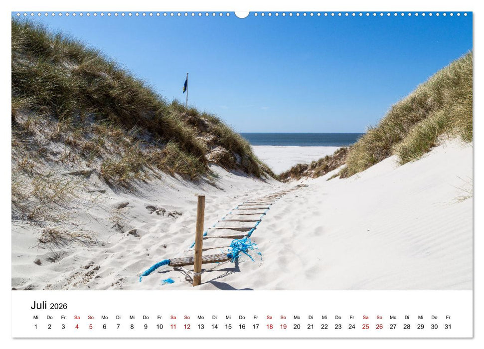 Amrum - Das Paradies in der Nordsee (CALVENDO Premium Wandkalender 2026)