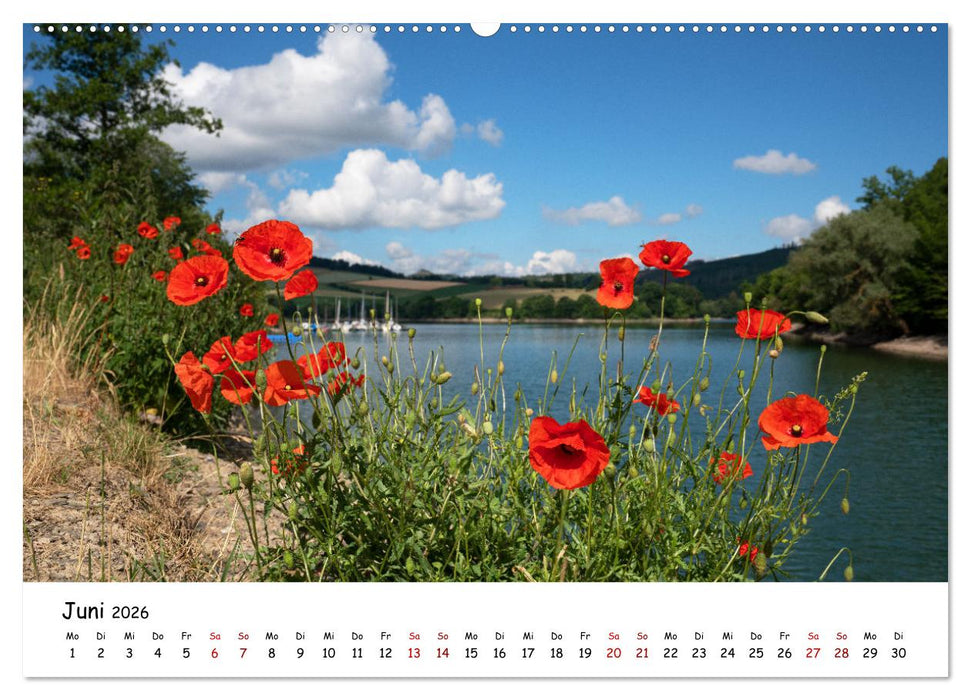 Heimat Entdecken: Sauerland (CALVENDO Wandkalender 2026)