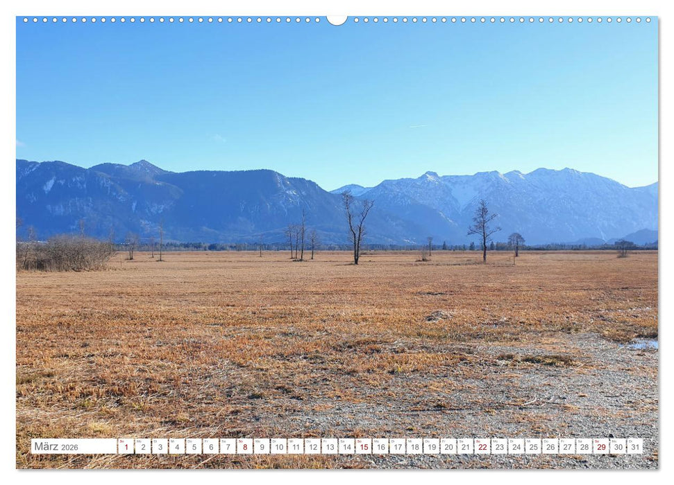 Naturschutzgebiet Murnauer Moos - Auf dem Rundweg durch das größte Moor Mitteleuropas (CALVENDO Premium Wandkalender 2026)