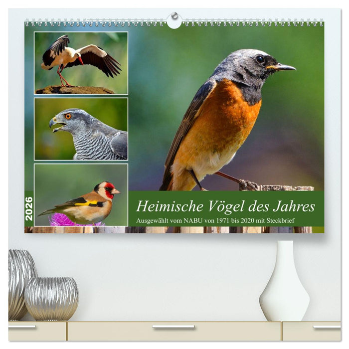 Heimische Vögel des Jahres (CALVENDO Premium Wandkalender 2026)