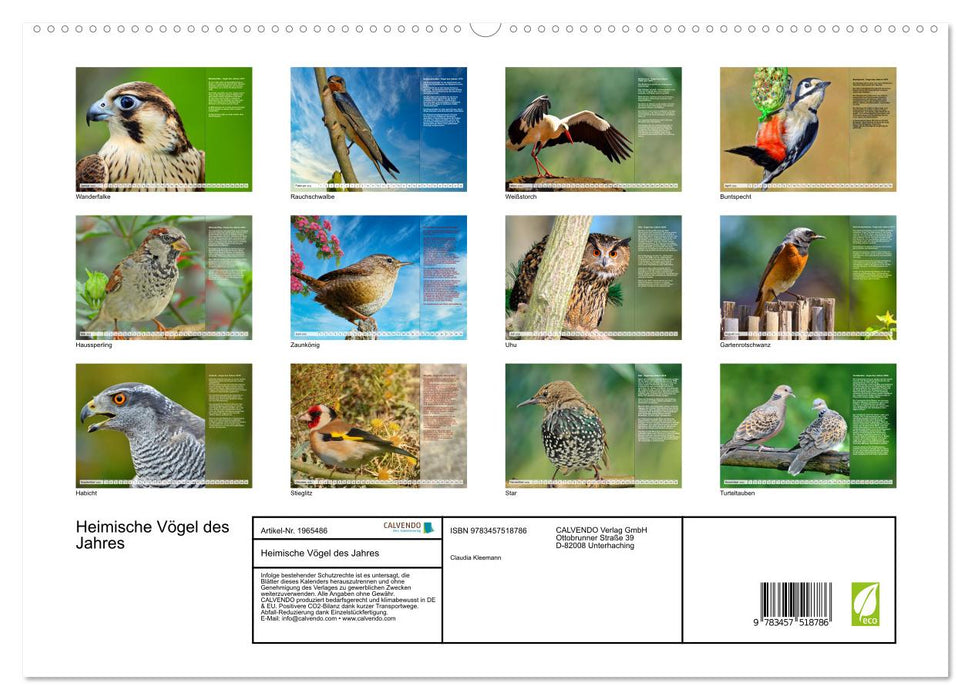 Heimische Vögel des Jahres (CALVENDO Premium Wandkalender 2026)