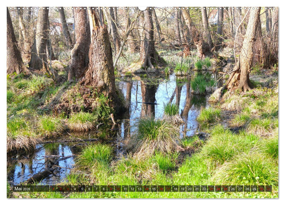 Graal-Müritz, Malerische Küstenmomente (CALVENDO Wandkalender 2026)
