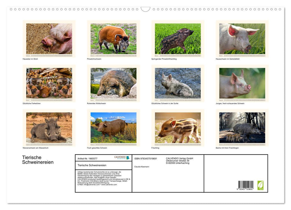 Tierische Schweinereien (CALVENDO Wandkalender 2026)