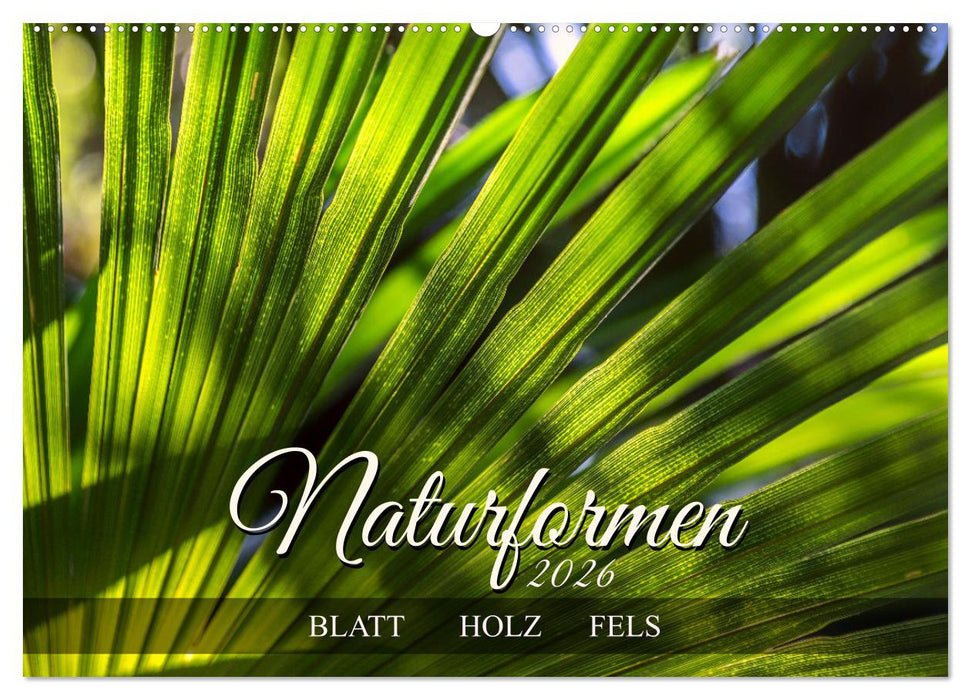 Naturformen, Blatt, Holz, Fels (CALVENDO Wandkalender 2026)