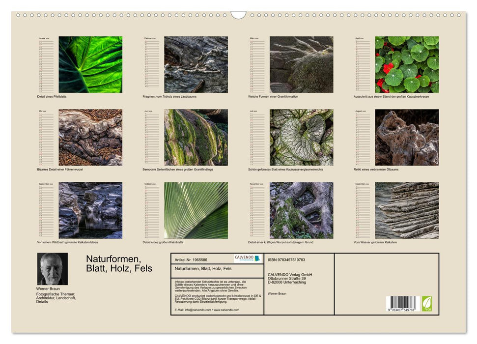 Naturformen, Blatt, Holz, Fels (CALVENDO Wandkalender 2026)