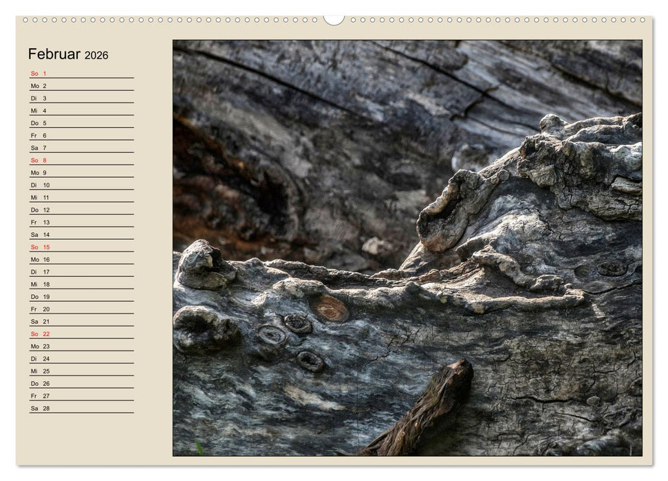 Naturformen, Blatt, Holz, Fels (CALVENDO Wandkalender 2026)