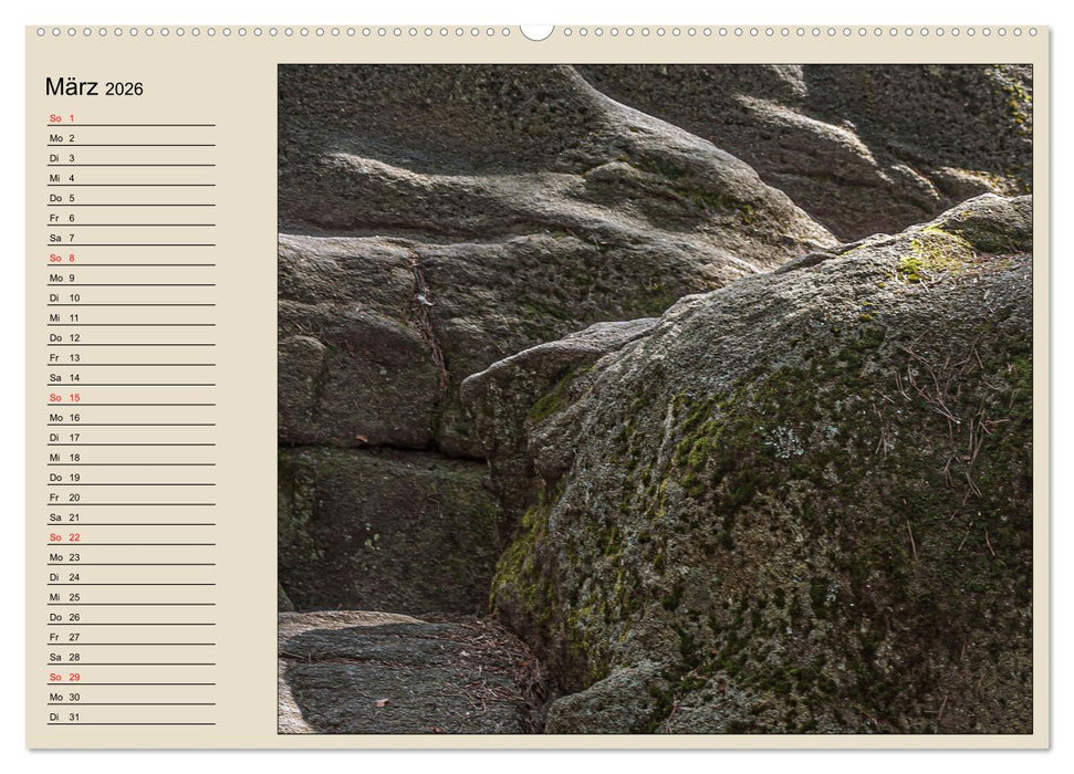 Naturformen, Blatt, Holz, Fels (CALVENDO Wandkalender 2026)