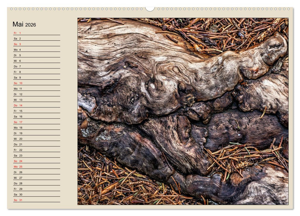 Naturformen, Blatt, Holz, Fels (CALVENDO Wandkalender 2026)