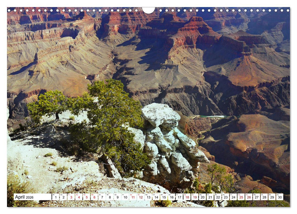Grand Canyon, Nationalpark (CALVENDO Wandkalender 2026)