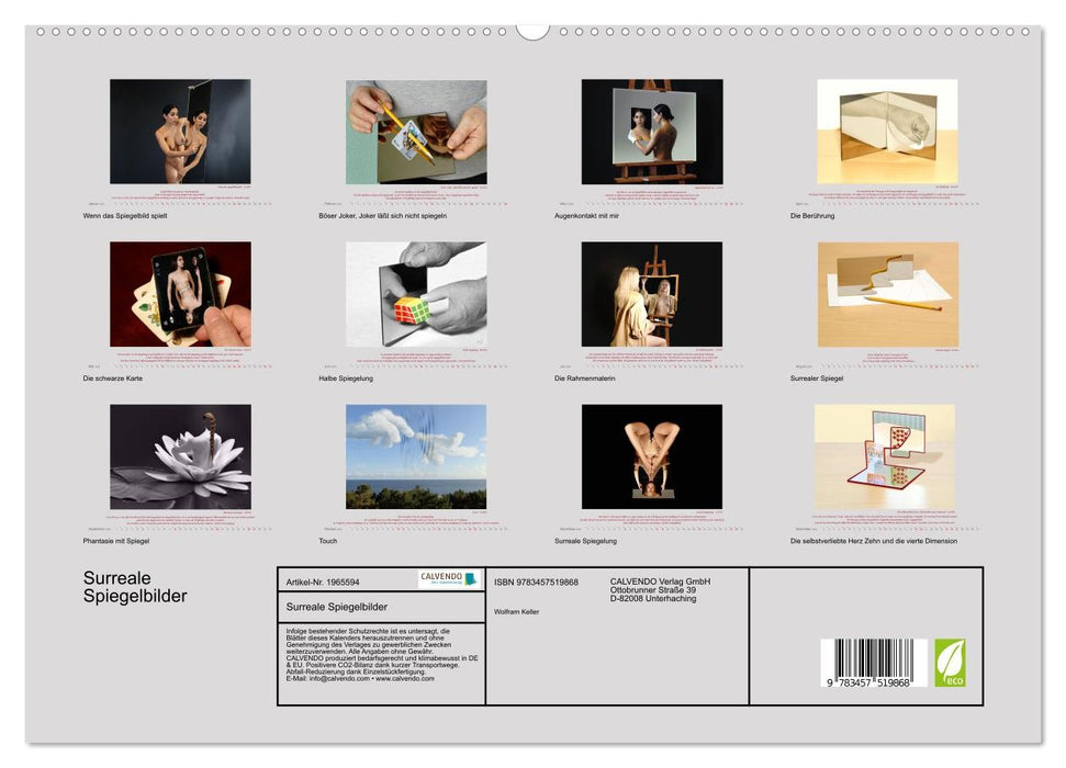 Surreale Spiegelbilder (CALVENDO Premium Wandkalender 2026)