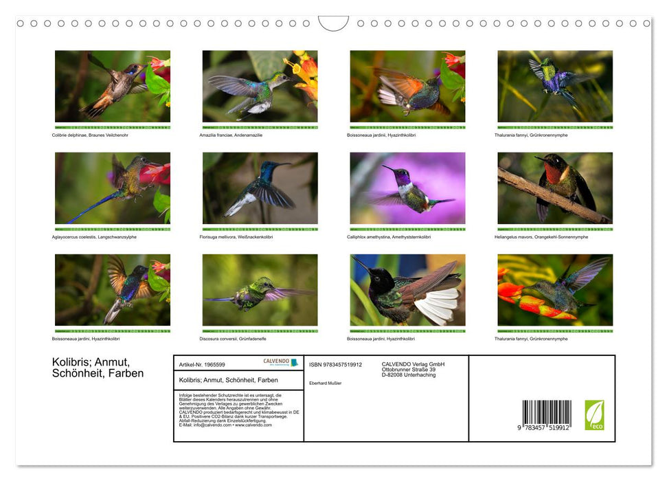 Kolibris; Anmut, Schönheit, Farben (CALVENDO Wandkalender 2026)
