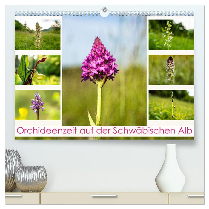 Orchideenzeit auf der Schwäbischen Alb (CALVENDO Premium Wandkalender 2026)