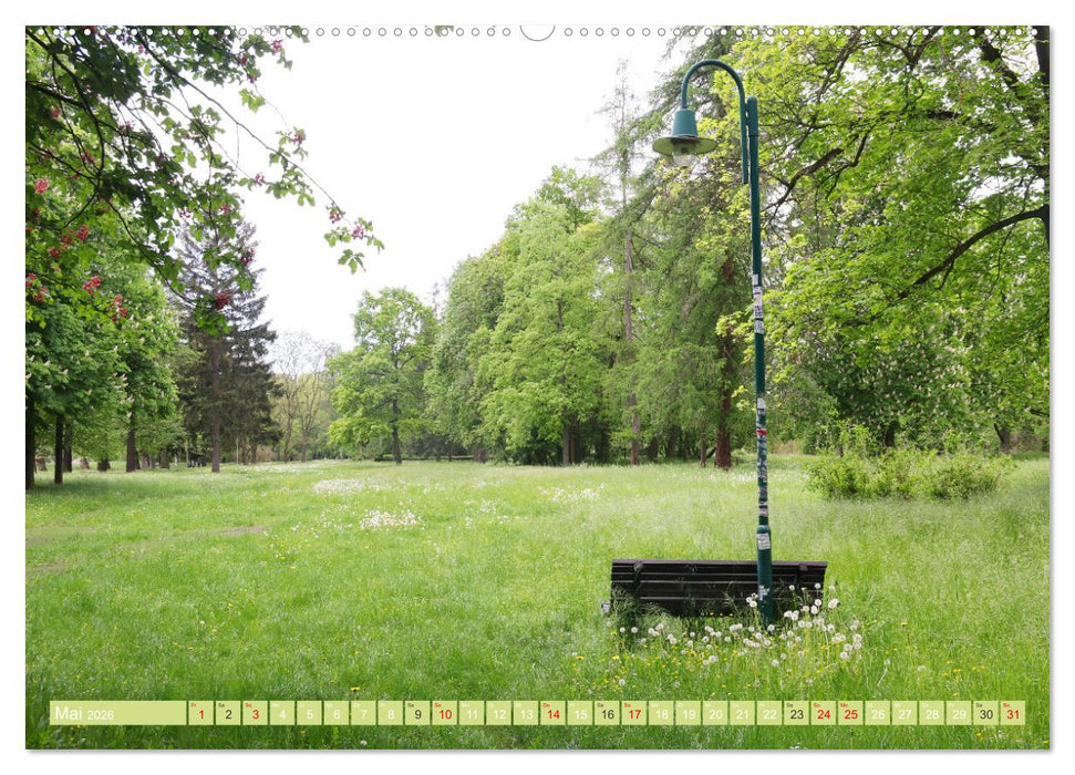 Einladung nach Rudolstadt (CALVENDO Wandkalender 2026)