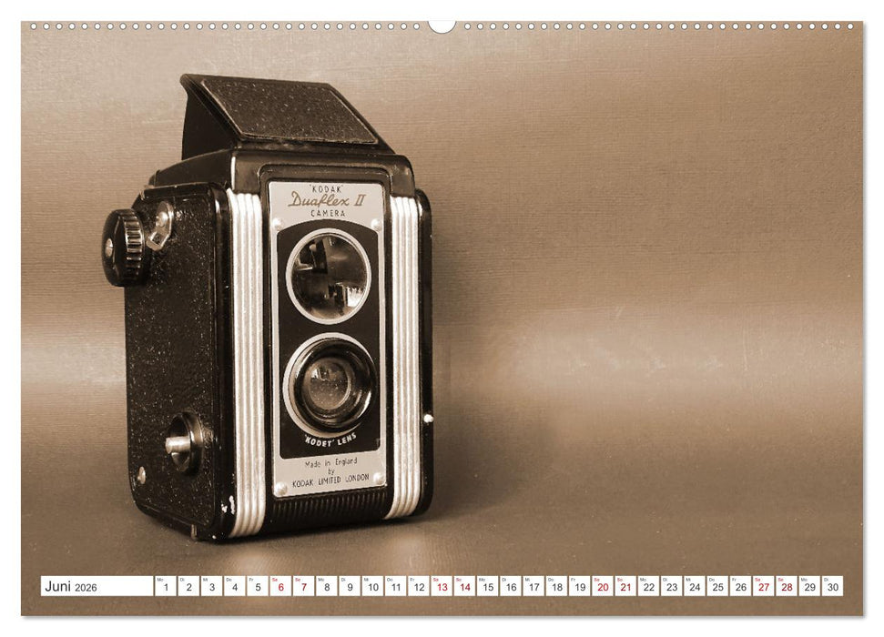 Fotokameras - alt und schön (CALVENDO Wandkalender 2026)