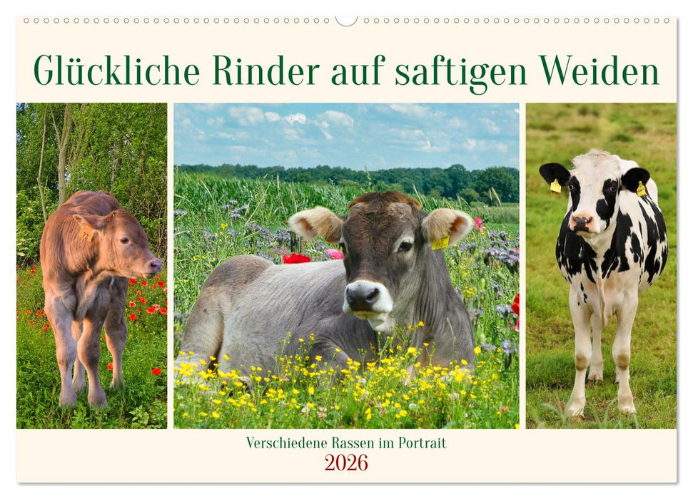 Glückliche Rinder auf saftigen Weiden (CALVENDO Wandkalender 2026)