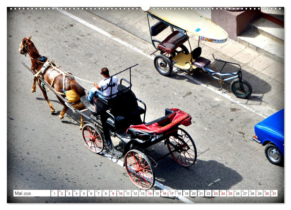 Mit 1 PS durch Havanna - Pferdedroschken in Kuba (CALVENDO Premium Wandkalender 2026)