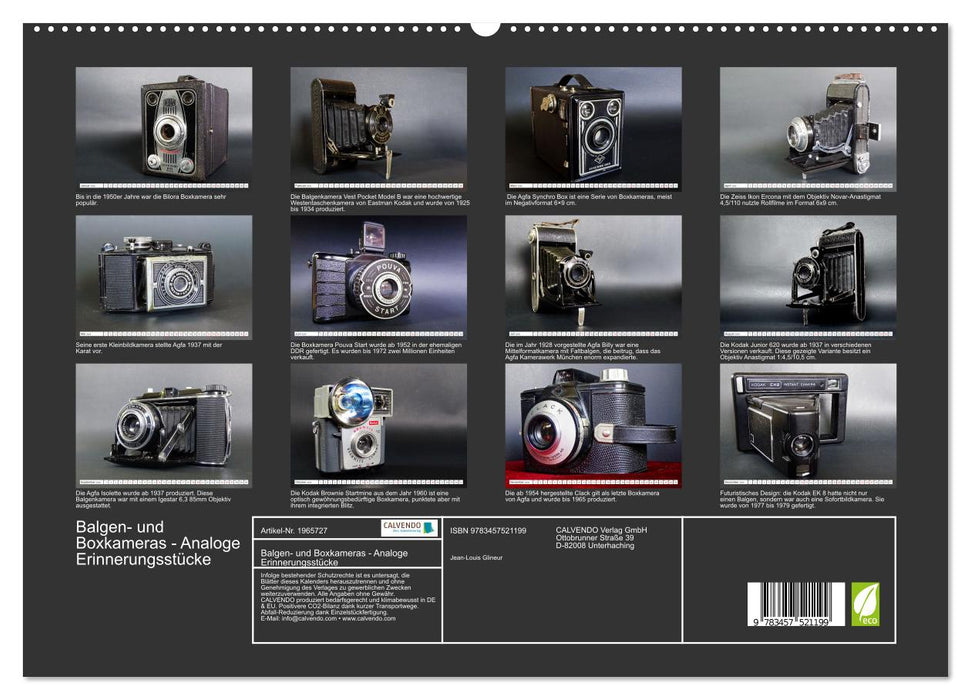 Balgen- und Boxkameras - Analoge Erinnerungsstücke (CALVENDO Premium Wandkalender 2026)