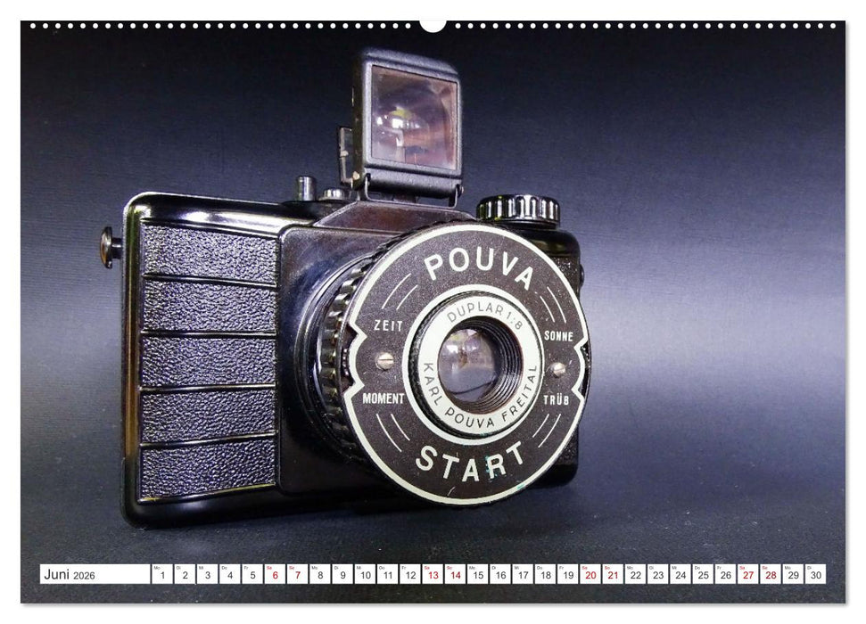 Balgen- und Boxkameras - Analoge Erinnerungsstücke (CALVENDO Premium Wandkalender 2026)
