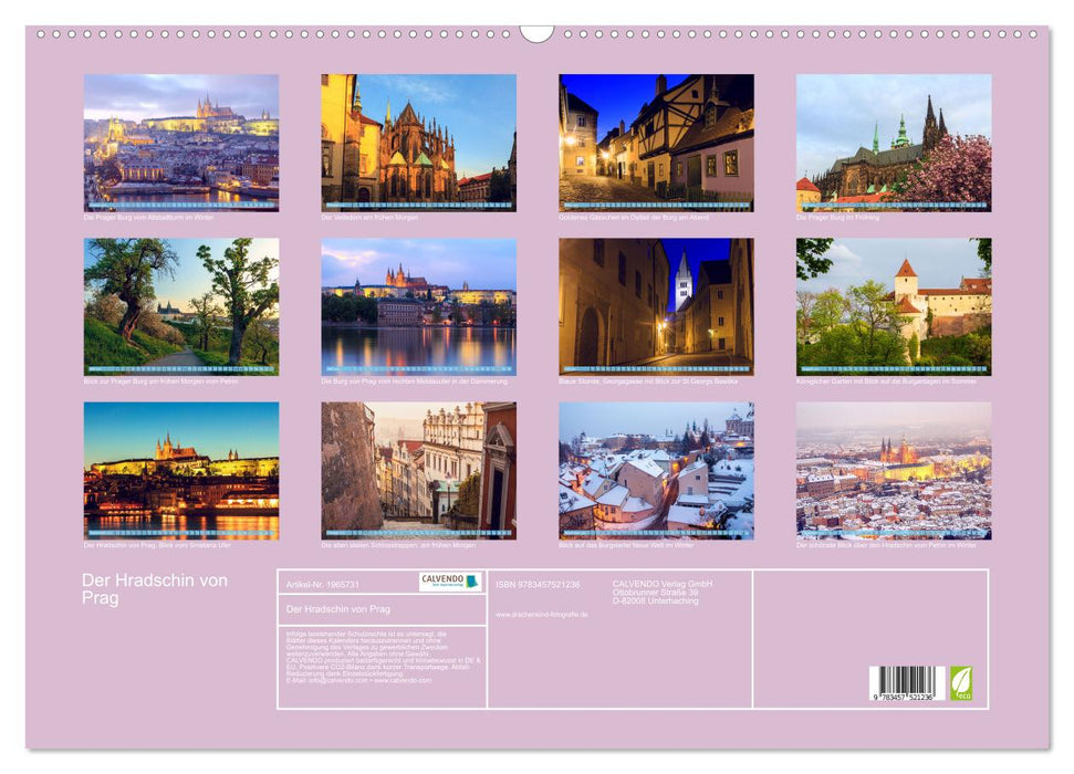 Der Hradschin von Prag (CALVENDO Wandkalender 2026)