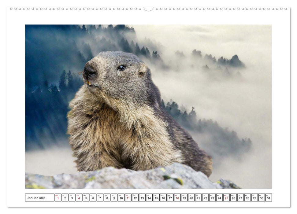 Naturschutz in Deutschland (CALVENDO Premium Wandkalender 2026)