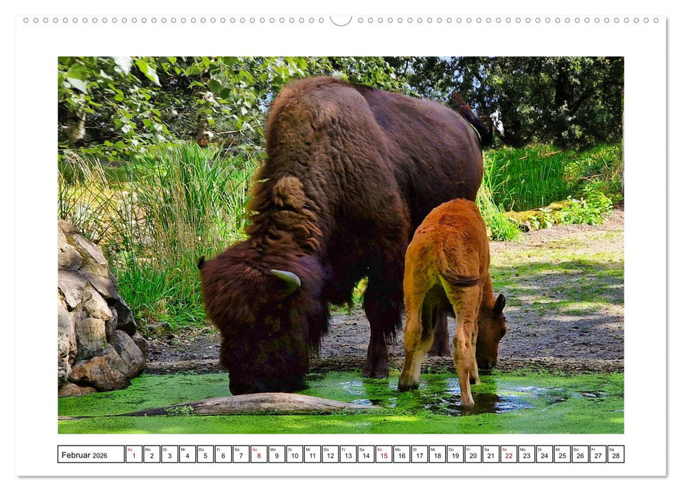 Naturschutz in Deutschland (CALVENDO Premium Wandkalender 2026)